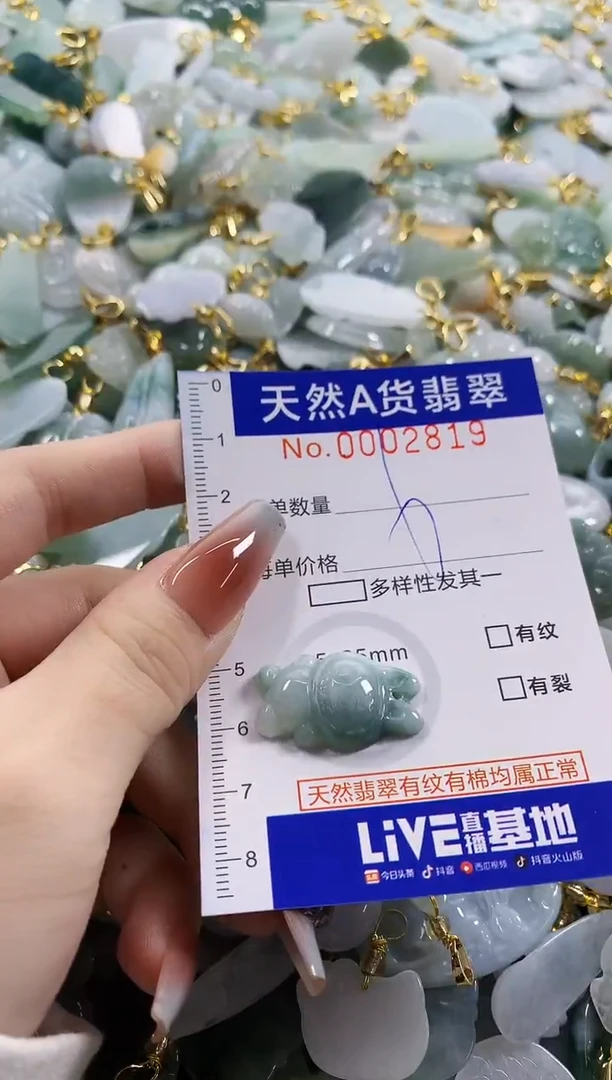 颈饰未镶嵌翡翠天然A货翡翠
