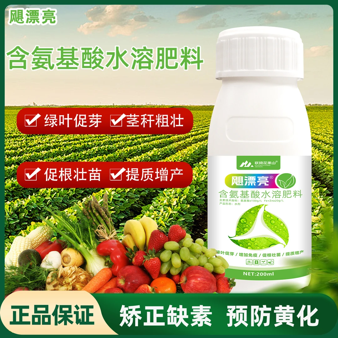 黄叶转绿叶叶片肥厚提苗壮棵飓漂亮叶面肥