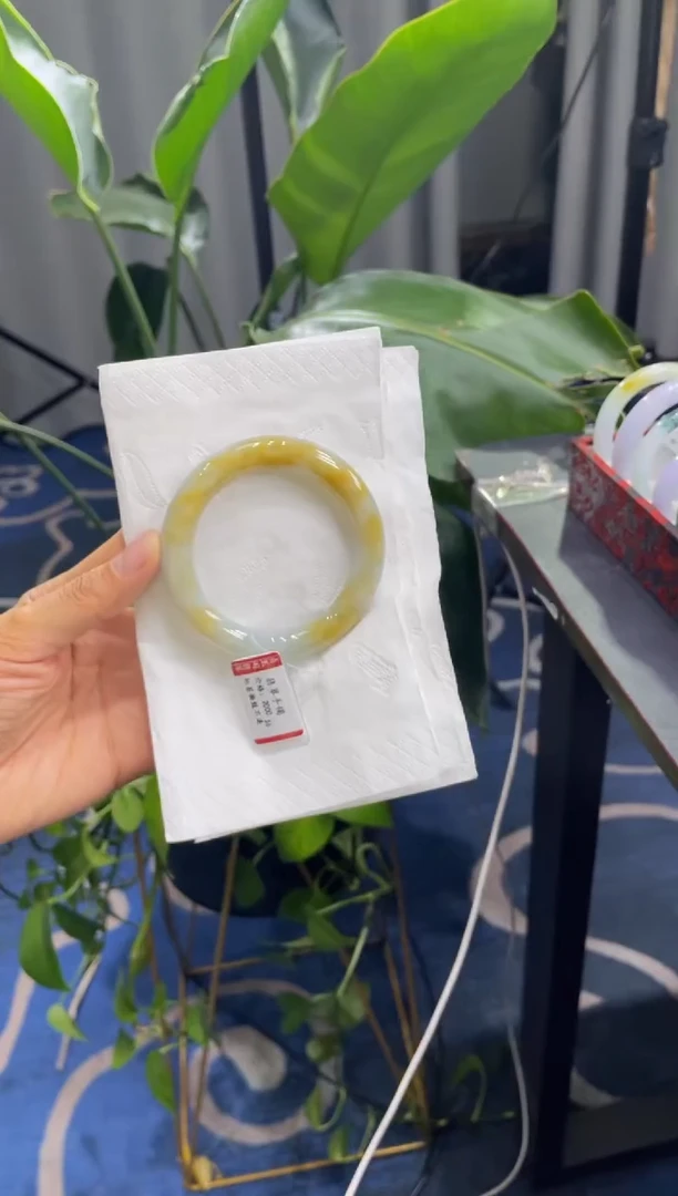 未镶嵌手镯翡翠6553