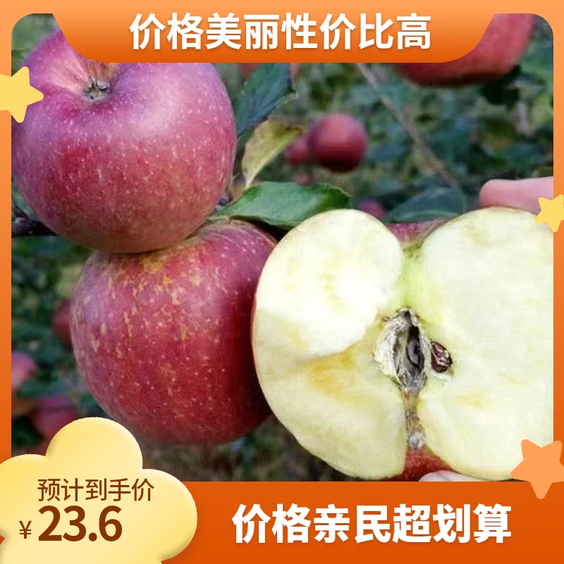 甄选脆甜陕西红富士苹果脆甜多汁水果坏果包赔
