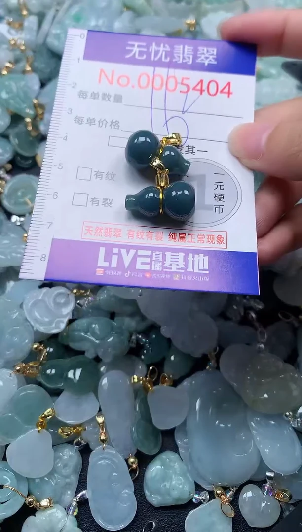 颈饰未镶嵌翡翠5404