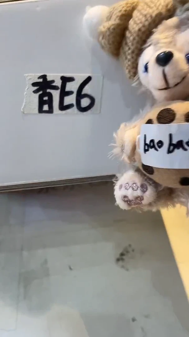 杯鸿辉家品牌瓷器，京东包邮！