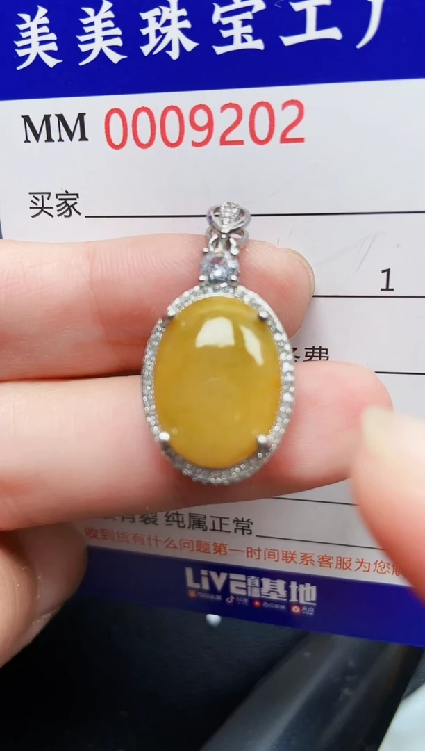 翡翠银S925镶嵌颈饰9202