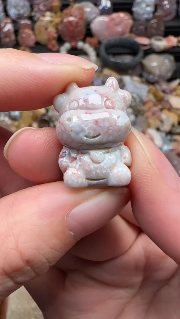 颈饰未镶嵌硅化珊瑚（珊瑚玉）060