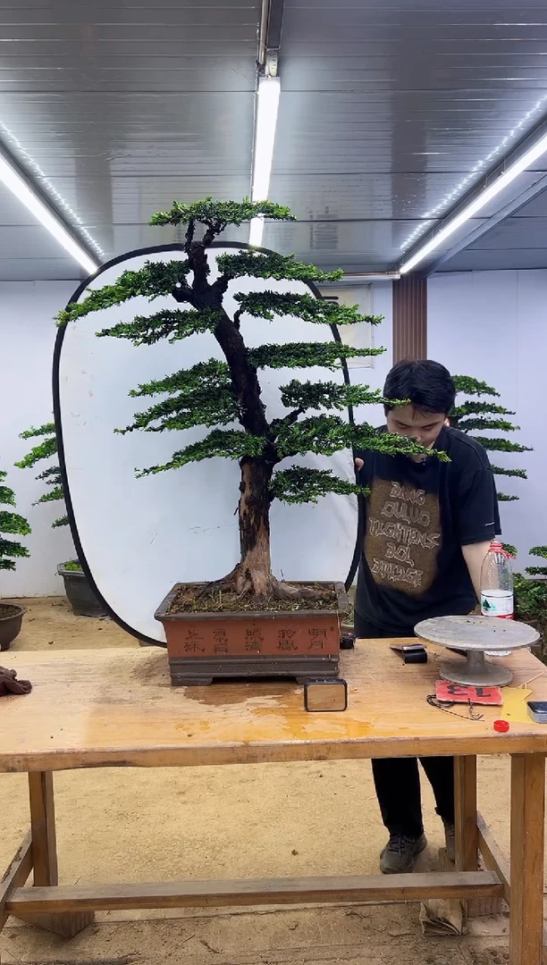 完全开放000000000000