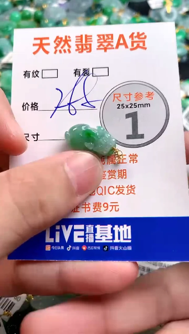 颈饰18K金镶嵌翡翠0751544737