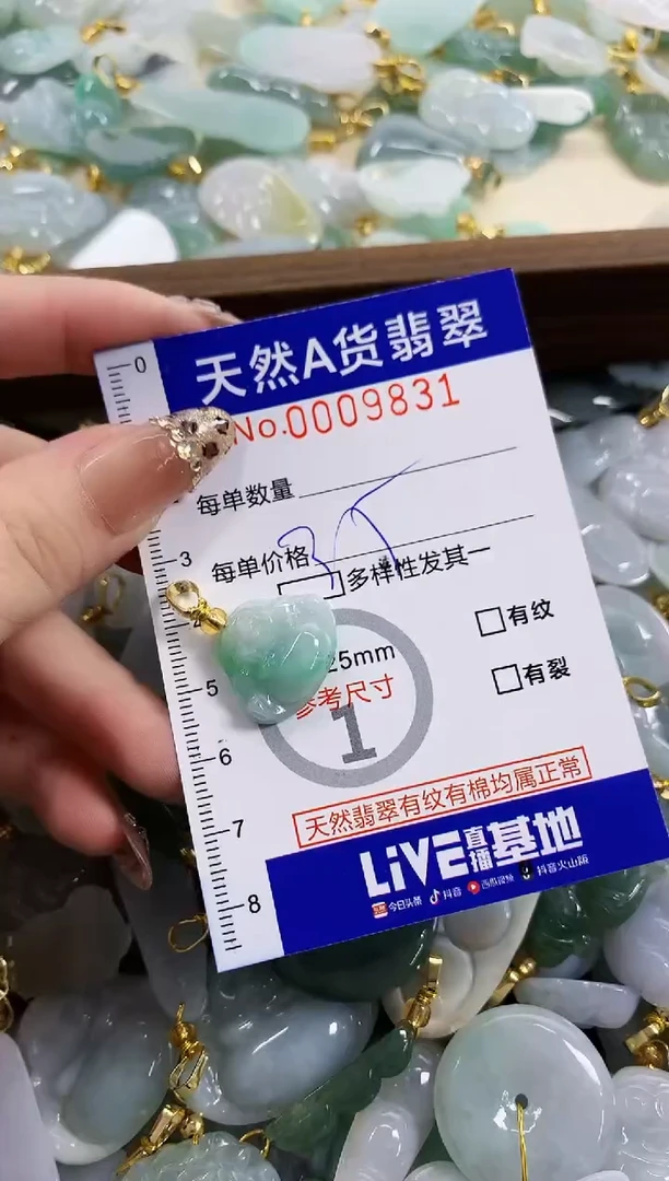 颈饰未镶嵌翡翠天然A货翡翠