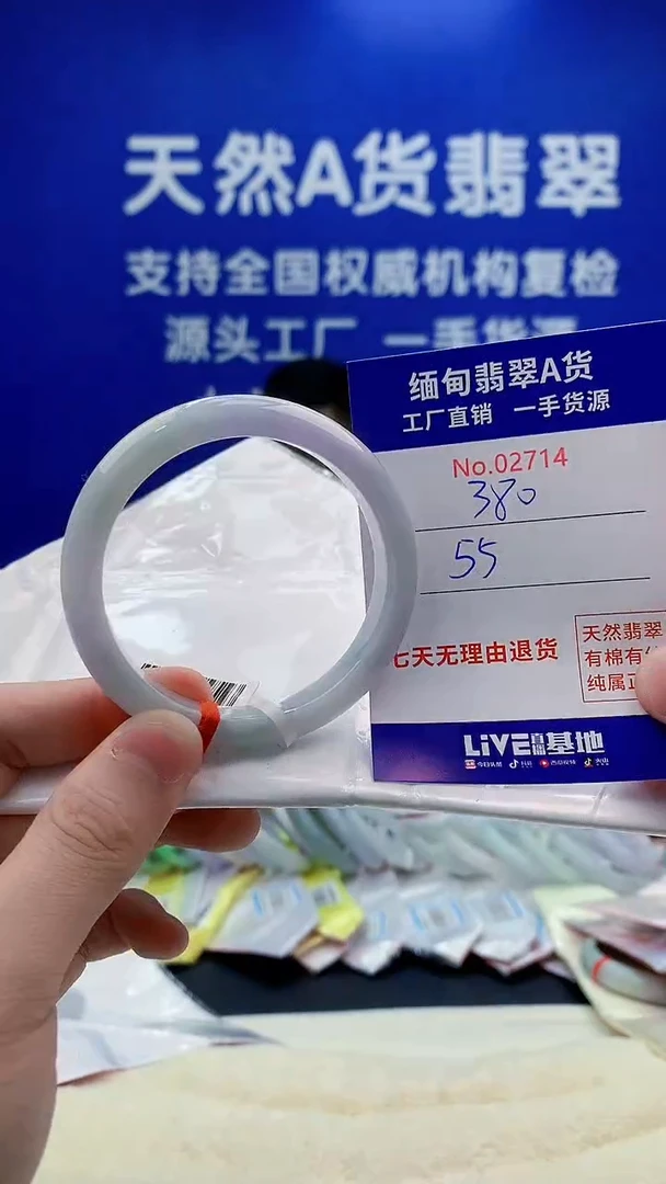 未镶嵌手镯翡翠14