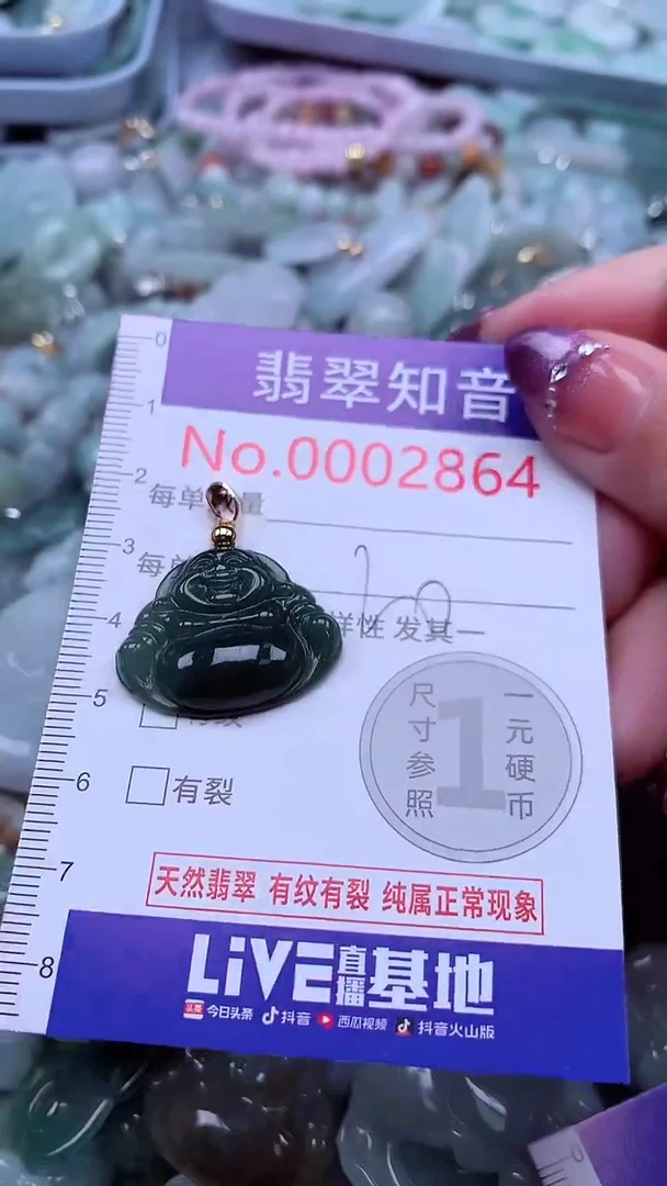 翡翠未镶嵌吊坠(不含链)2864