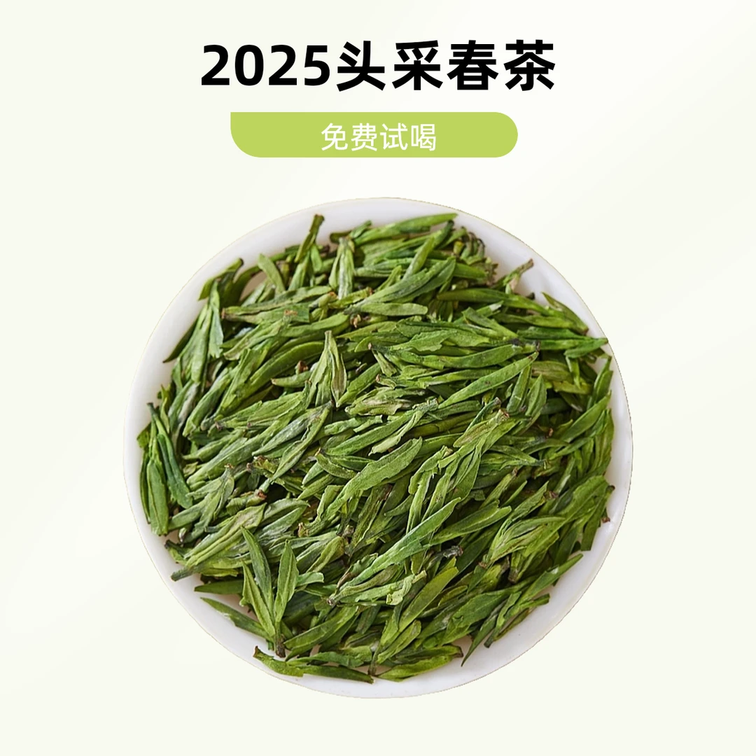 20252025年春茶雀舌头采嫩芽鲜爽回甘兰花香茶叶茶叶