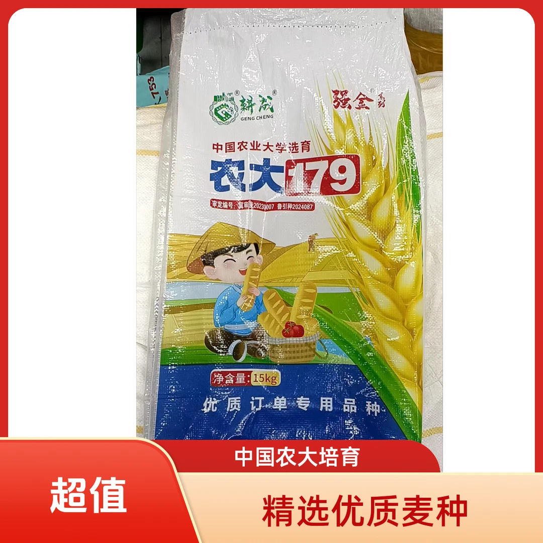 农大179高产稳产小麦种抗倒伏抗倒春寒产量种植品种耐旱优质