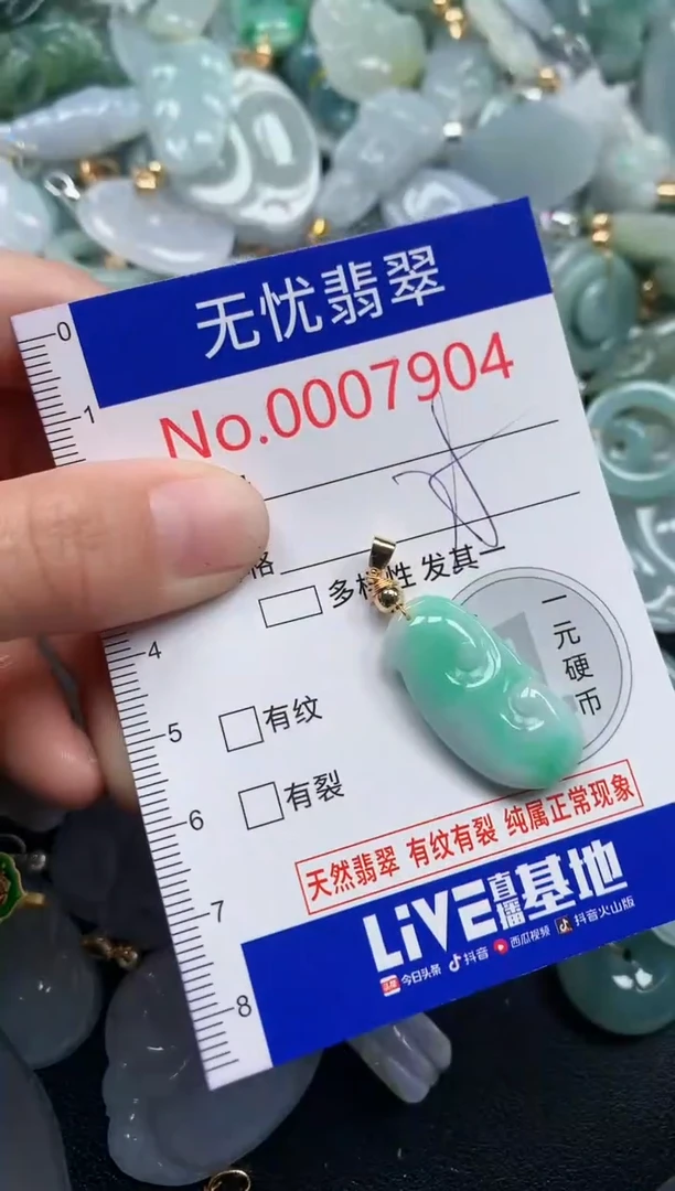 颈饰未镶嵌翡翠7904