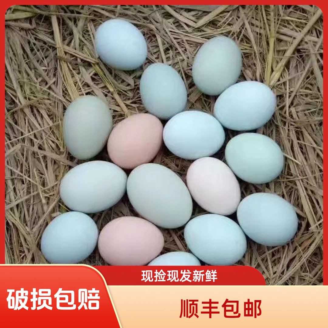 【助农链接】大别山林场散养土鸡蛋 粉壳/绿壳 现捡现发 40枚鸡蛋