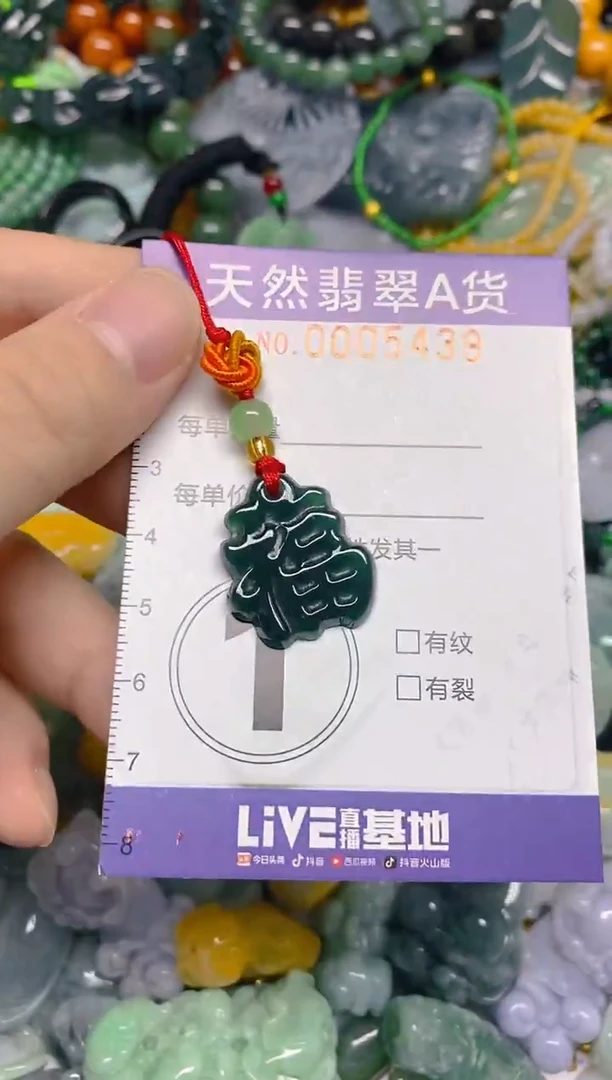 颈饰未镶嵌翡翠0005439