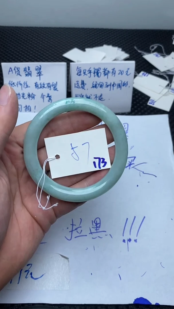 未镶嵌手镯翡翠173