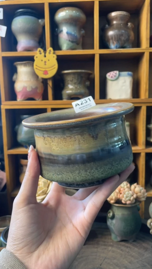 231内口10【多肉花盆多肉盆】