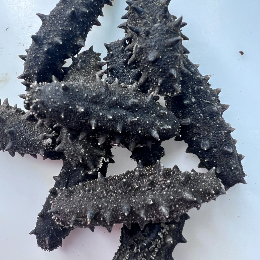 专属 长海县（纯淡干）深海白刺参海参