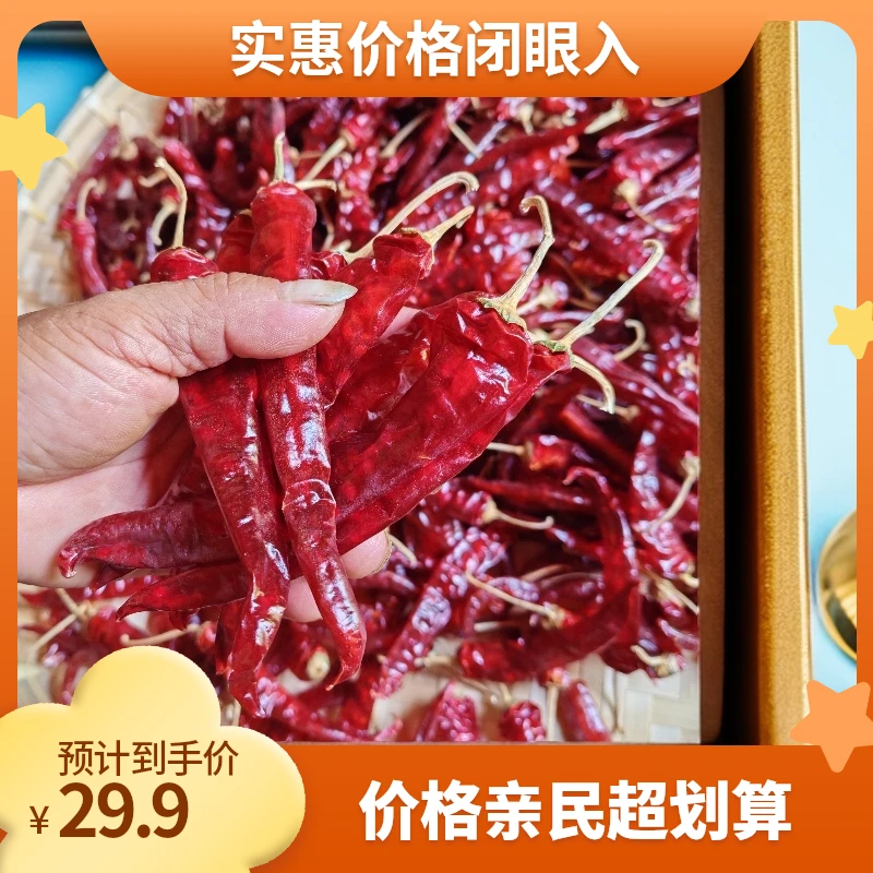 怀化本地干红辣椒农家爆晒香辣红辣椒特产2025小肉包全身照调料