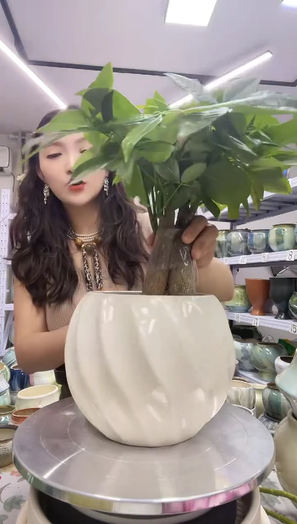 【 9.28】号   直播链接  高:     16   ；口：13.5