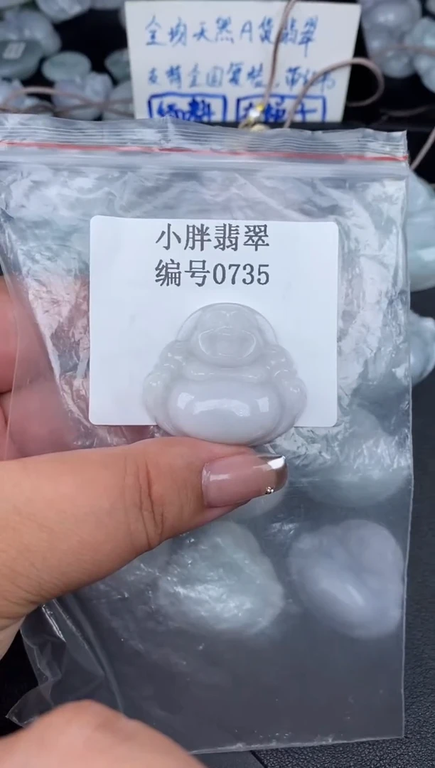 翡翠未镶嵌颈饰缅甸天然A货翡翠0735