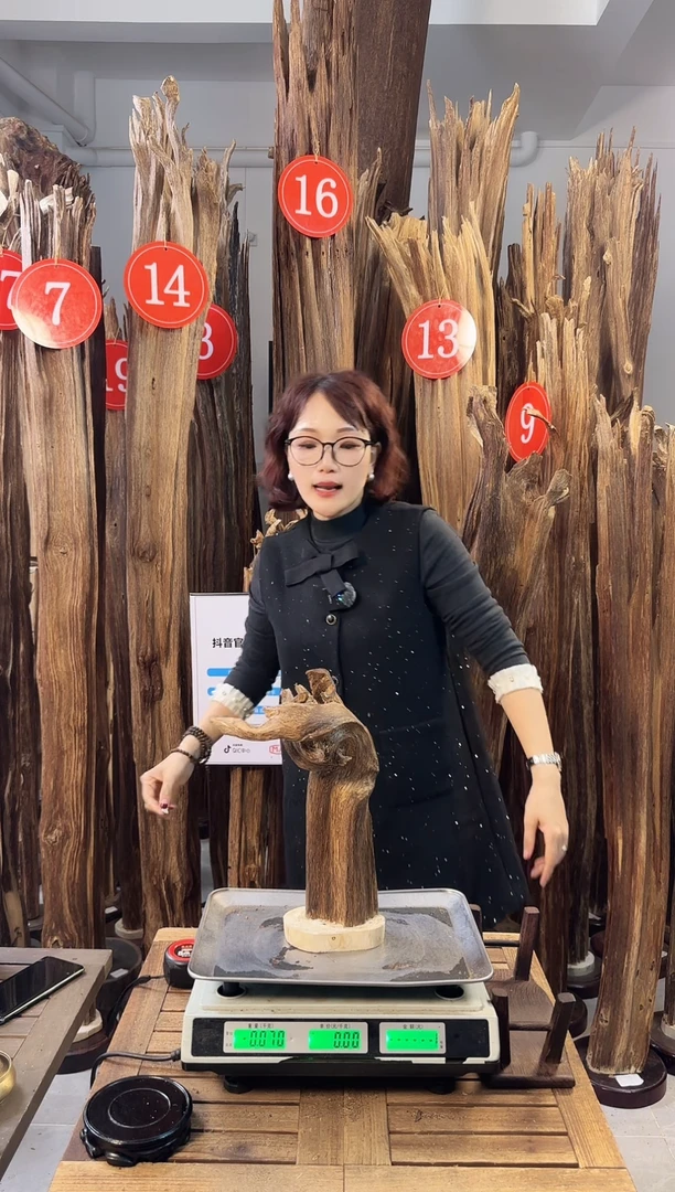 【闪购商品】沉香摆件沉香摆件多样性发一件47