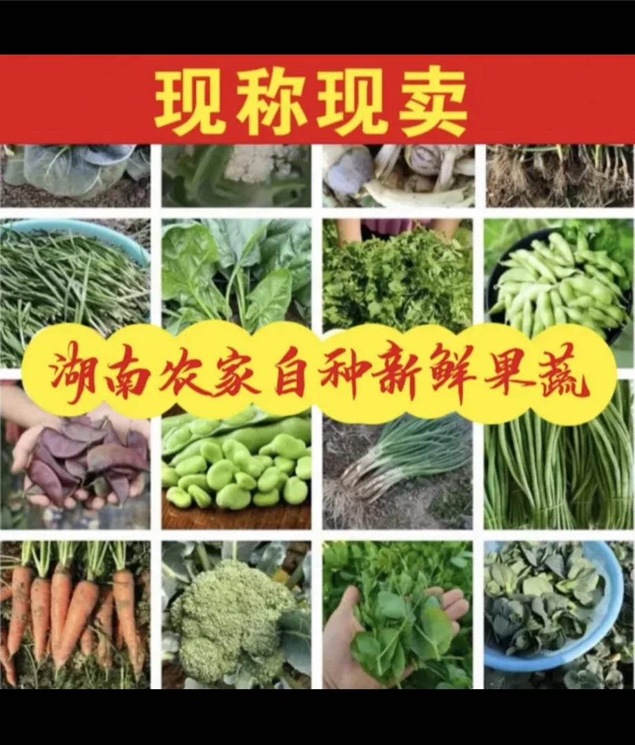 【瘦瘦走乡村】农 家 代 购 蔬 菜