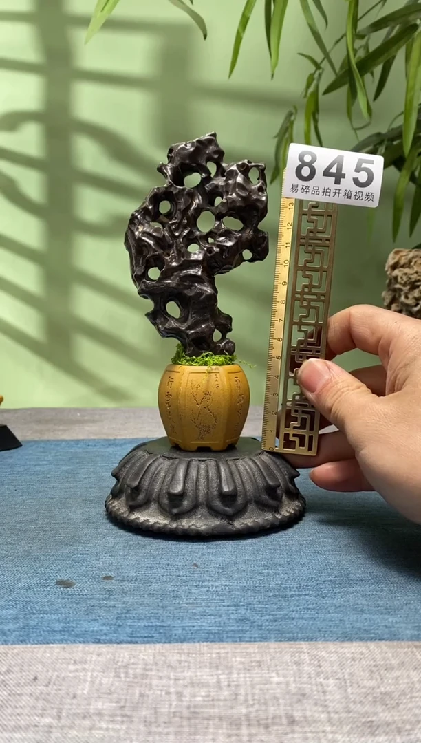 【闪购商品】树脂制品底座 石头是青州玲珑石845号