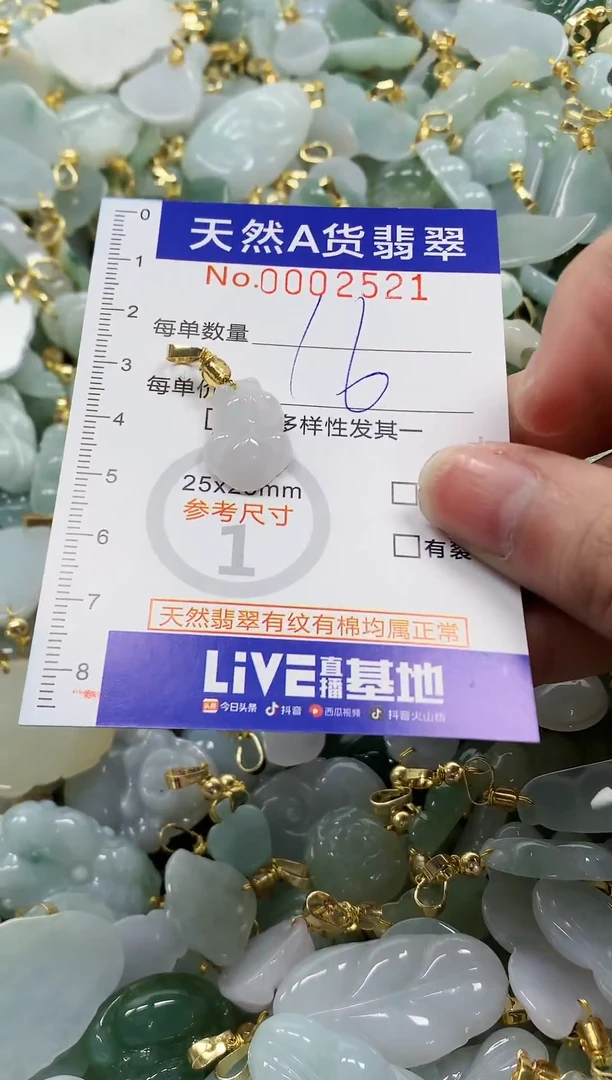 颈饰未镶嵌翡翠纯天然a货翡翠