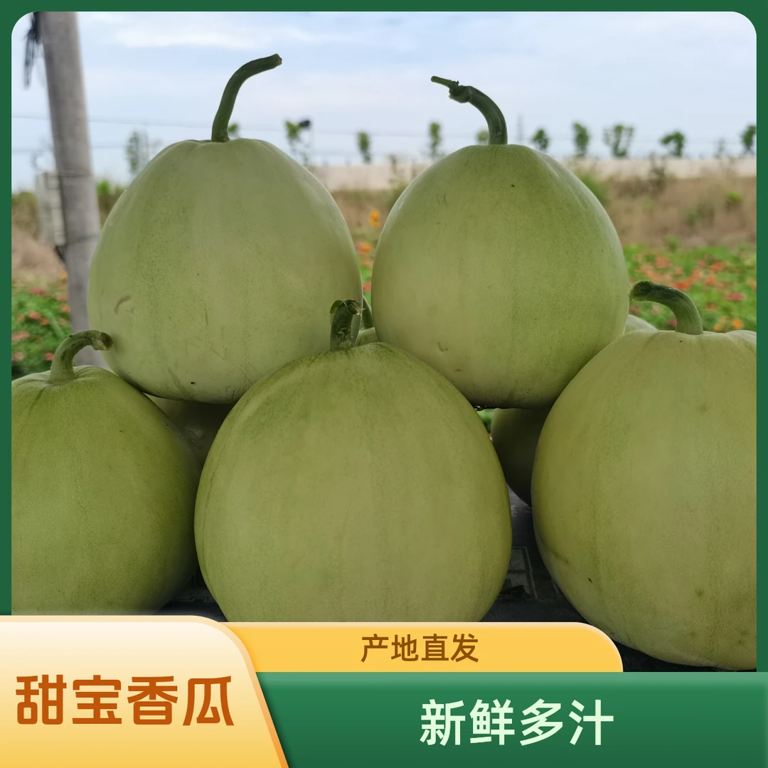 【顺丰包邮】甜宝香瓜现采现发，4.5斤重5～7个中大果，甜脆多汁新鲜