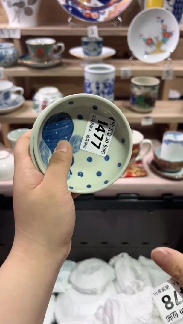 瓷片            I477