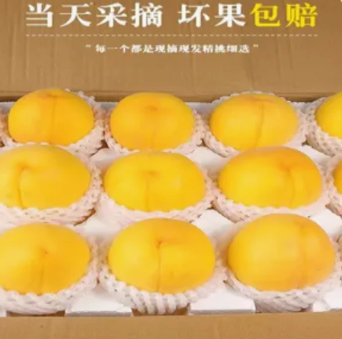 【坏果包赔】山东蒙阴黄桃新鲜应季桃子脆甜多汁孕妇水果