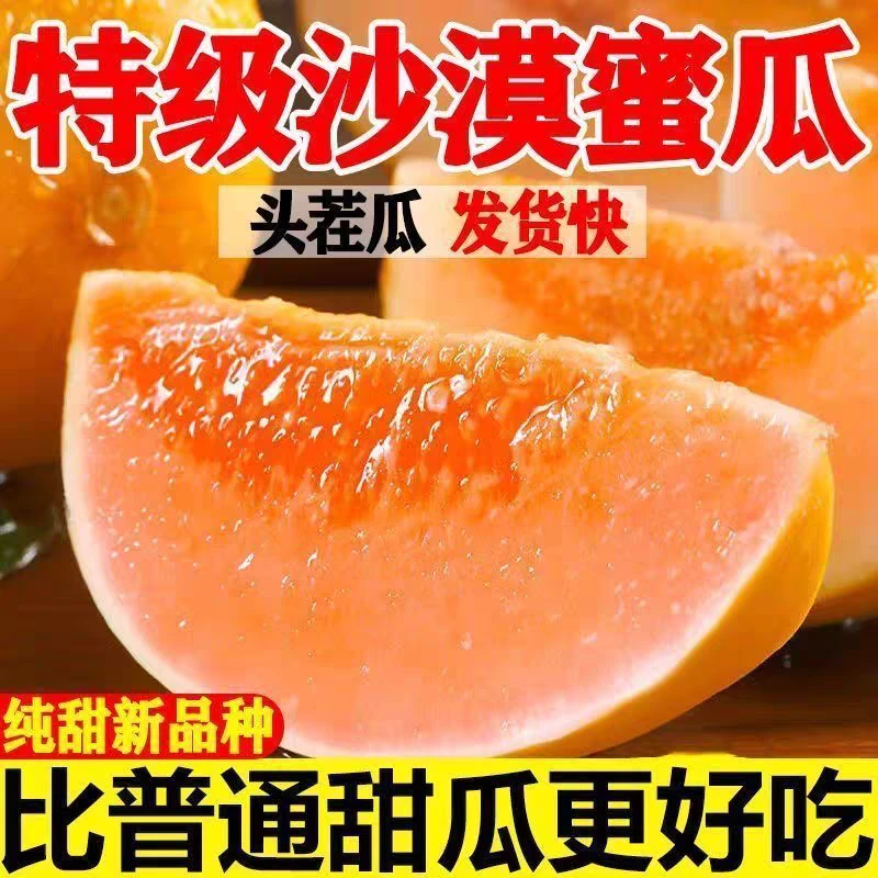 （粉丝专享）甘肃民勤蜜瓜新鲜采摘甜蜜肉厚水果当季哈密瓜时令