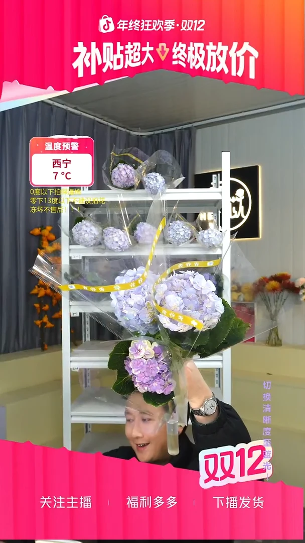 完全开放小****酸3枝绣球 包邮