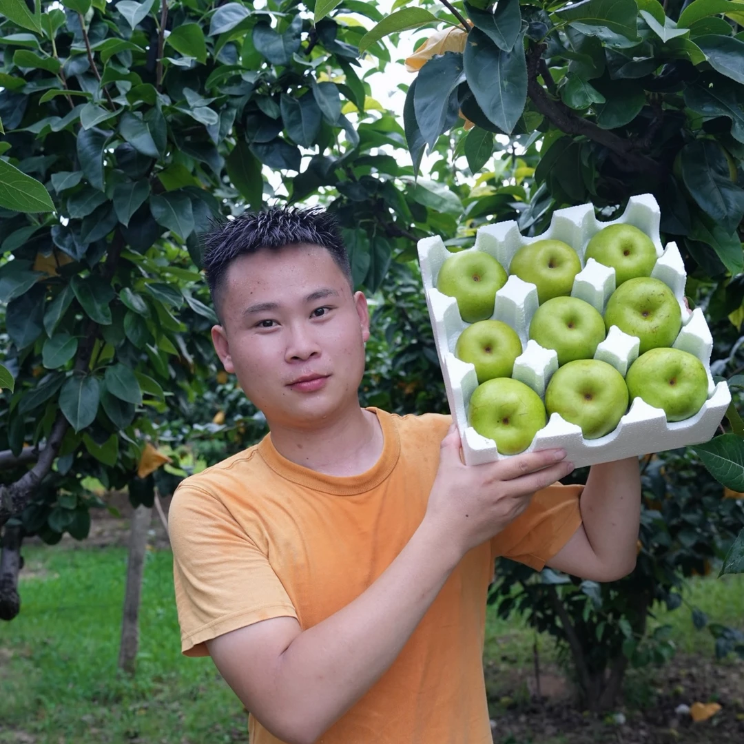 砀山正宗青皮翠玉梨 脆甜多汁，坏果包赔