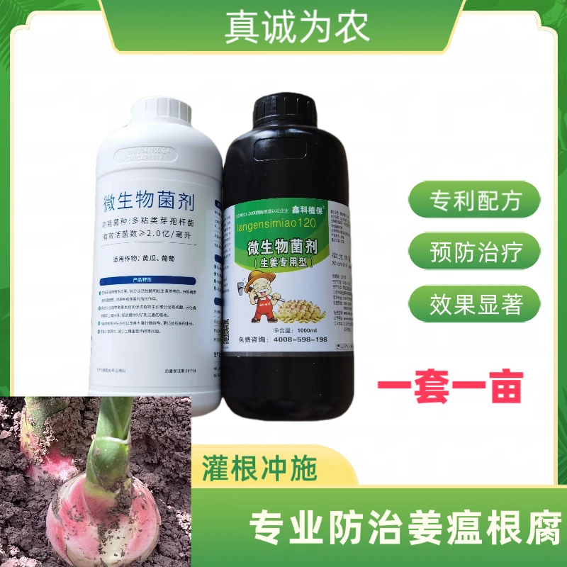 姜瘟根腐防治套餐