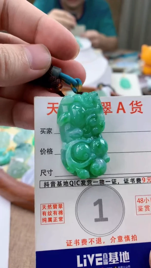 颈饰未镶嵌翡翠天然A货翡翠挂件