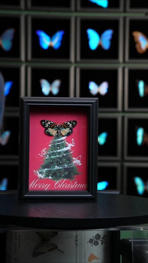 微瑕标本摆件一口价H654