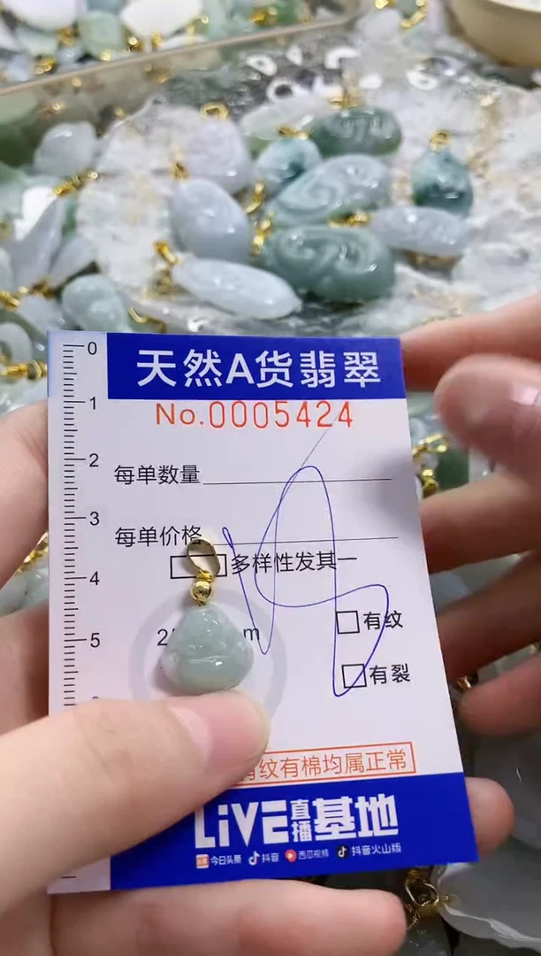 颈饰未镶嵌翡翠天然A货翡翠