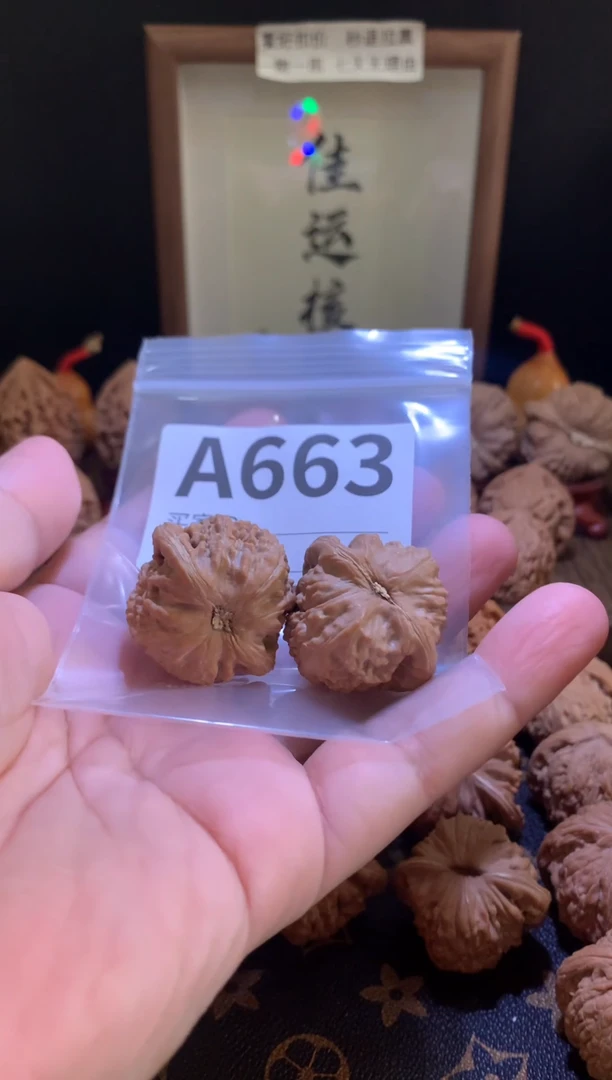 把件文玩核桃白狮子35尺