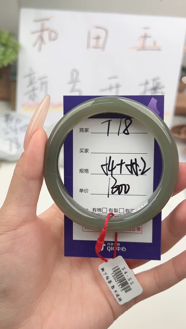 未镶嵌手镯和田玉微色差T18