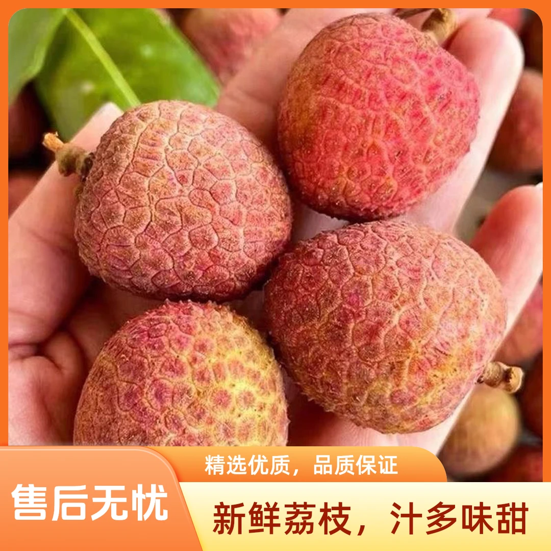 【1斤3斤5斤】妃子笑新鲜荔枝荔枝现摘现发鲜荔枝当季大水果礼盒装果王广东省