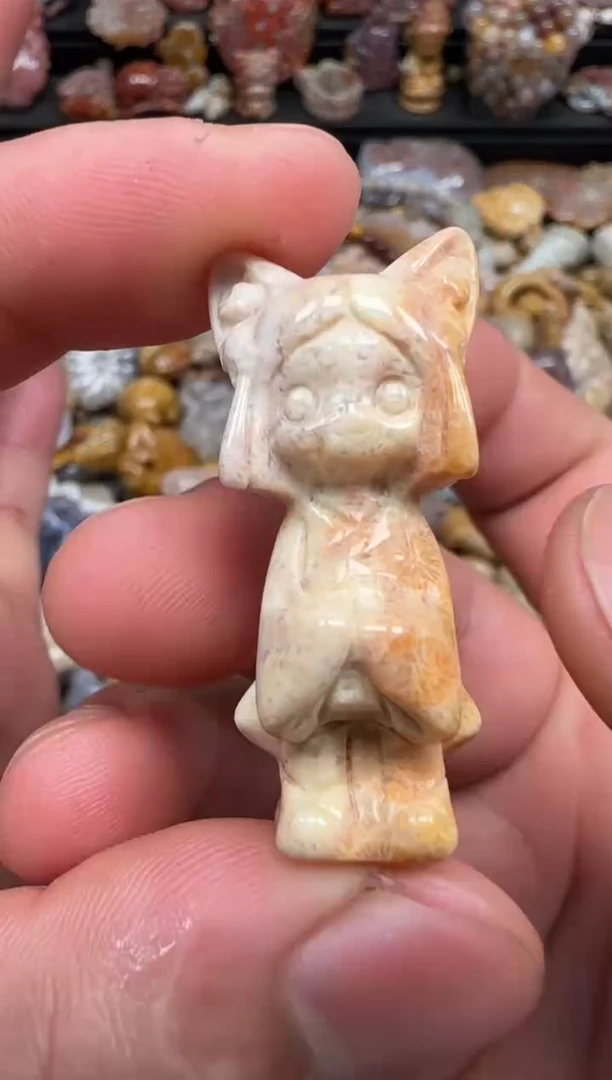 硅化珊瑚（珊瑚玉）未镶嵌颈饰682