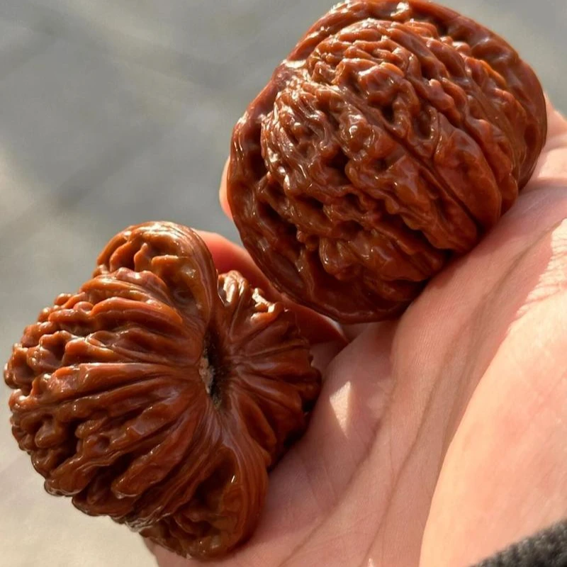 【巨鼎直播专属链接】文玩核头直播链接