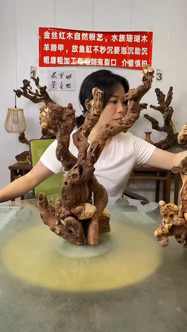 香榧木金丝红木 羊蹄甲