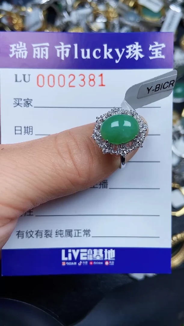 翡翠银S925镶嵌颈饰2381