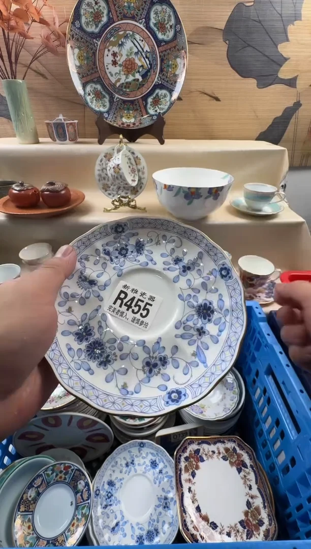 瓷片兰*         R455