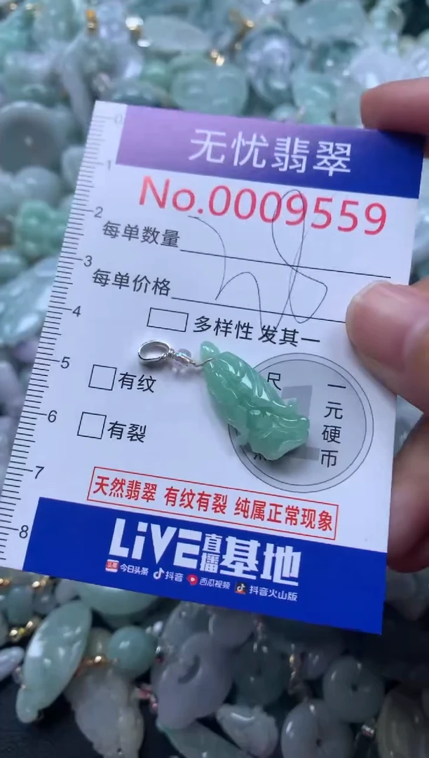 颈饰未镶嵌翡翠9559