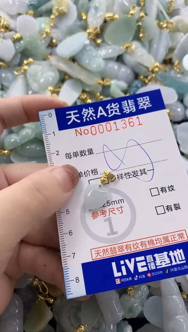 颈饰未镶嵌翡翠天然A货翡翠