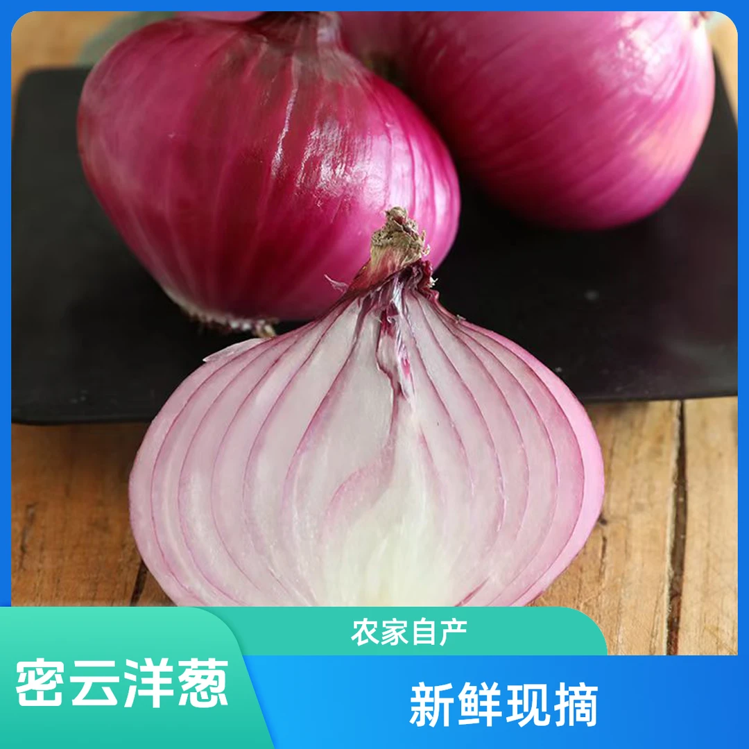 农家组合包金太阳杏香白杏散菜花七寸黄瓜西红柿水果洋葱组合包3斤5斤新鲜