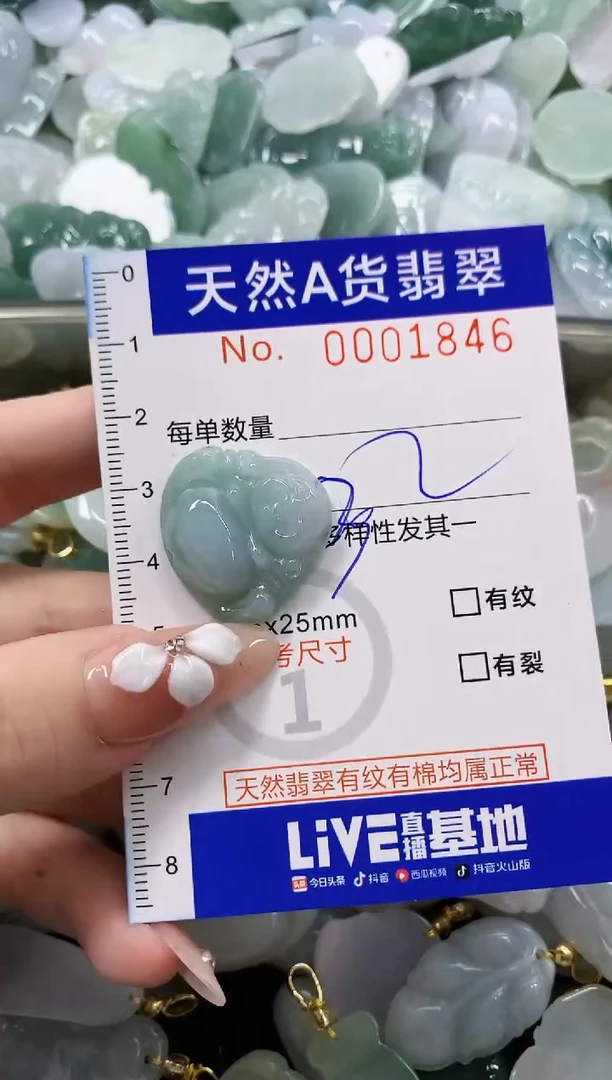 颈饰未镶嵌翡翠天然A货翡翠